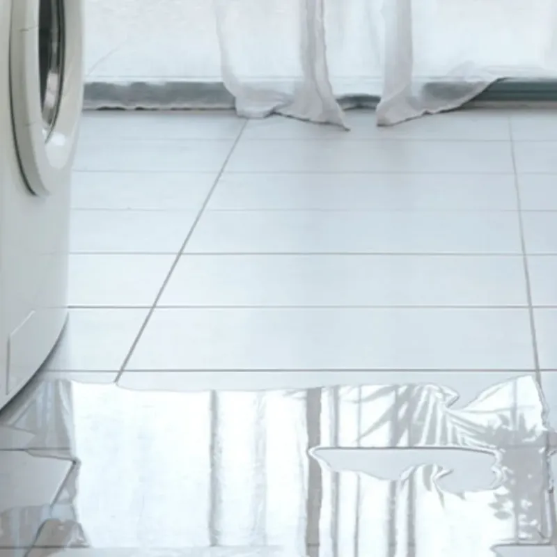 Appliance Leak Cleanup in Coupeville, WA