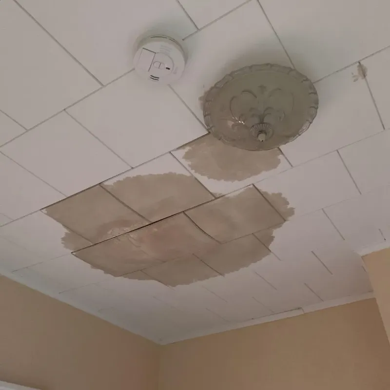Ceiling Water Damage Repair in Coupeville, WA