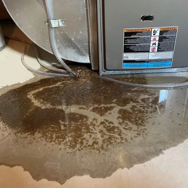 Pipe Burst and Leak Restoration in Coupeville, WA