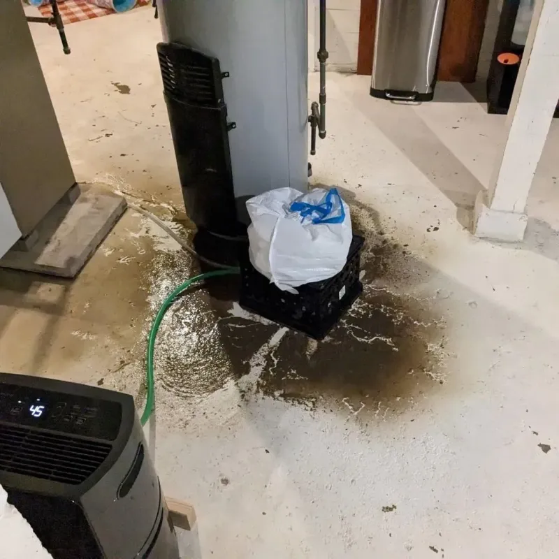 Sewage Backup Cleanup Service in Coupeville, WA